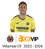 Đội ngũ chuyên gia Vmax