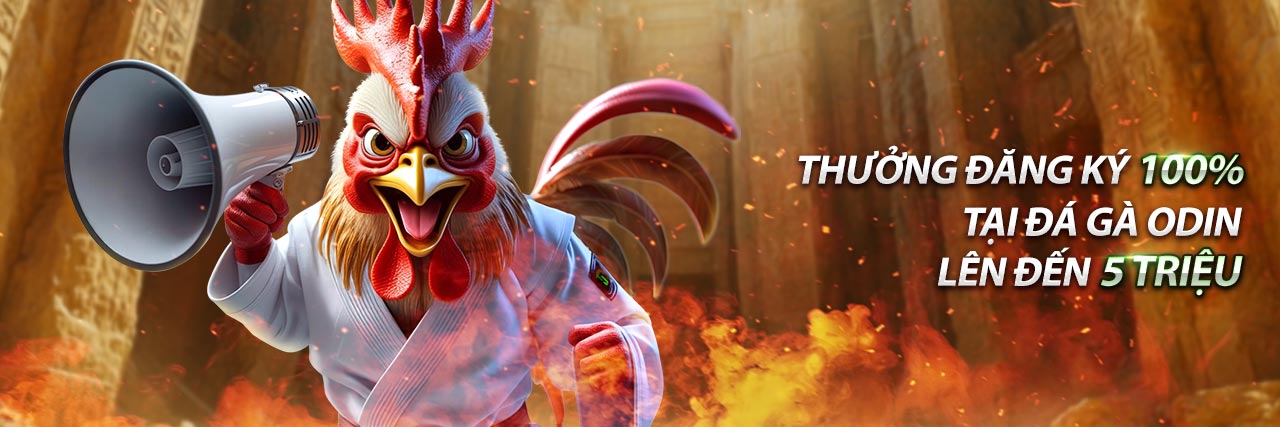 Hình ảnh chính vmax, sân chơi cá cược trực tuyến sôi động với các giải đấu thể thao và trò chơi casino hấp dẫn